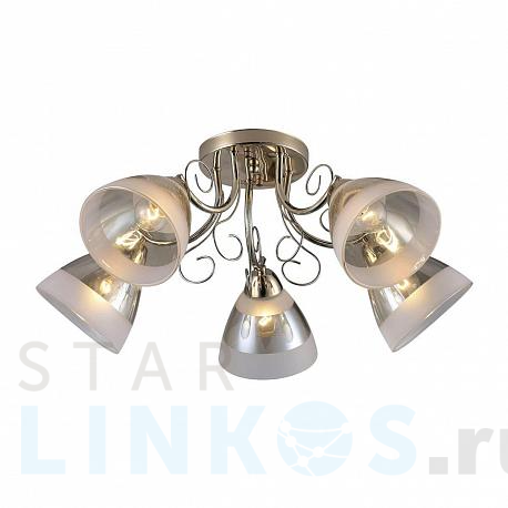 Купить Потолочная люстра Ritter Palermo 52546 2 за 3 708 руб. в Туле фото 2 Купить с доставкой Потолочная люстра Ritter Palermo 52546 2 в Туле фото 2