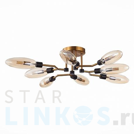 Купить Потолочная люстра ST Luce Desima SL1174.302.08 за 21 780 руб. в Туле фото 2 Купить с доставкой Потолочная люстра ST Luce Desima SL1174.302.08 в Туле фото 2