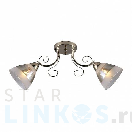 Купить Потолочная люстра Ritter Palermo 52544 8 за 2 237 руб. в Туле фото 2 Купить с доставкой Потолочная люстра Ritter Palermo 52544 8 в Туле фото 2