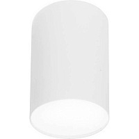 Купить Потолочный светильник Nowodvorski Point Plexi 6528 в Туле