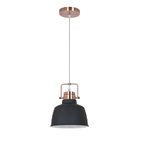 Купить Подвесной светильник Odeon Light Pendant Sert 3325/1 в Туле