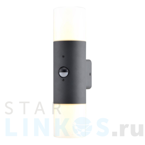 Купить Уличный настенный светильник Escada 534/2A за 4 710 руб. в Туле Купить с доставкой Уличный настенный светильник Escada 534/2A в Туле