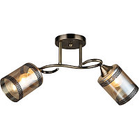 Купить Потолочный светильник Reluce 04616-0.3-02 в Туле