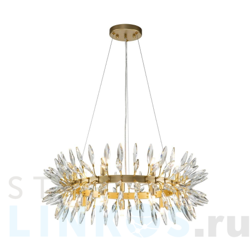 Купить Подвесная люстра Favourite Rays 4058-14P за 60 900 руб. в Туле Купить с доставкой Подвесная люстра Favourite Rays 4058-14P в Туле