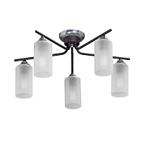 Купить Потолочная люстра Vitaluce V4753-1/5PL в Туле