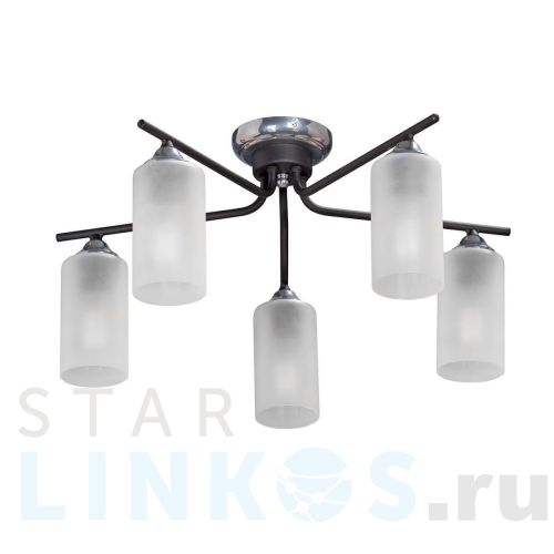 Купить Потолочная люстра Vitaluce V4753-1/5PL за 4 200 руб. в Туле Купить с доставкой Потолочная люстра Vitaluce V4753-1/5PL в Туле