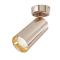 Купить Спот Maytoni Focus C017CW-01RG в Туле