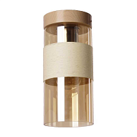 Купить Потолочный светильник 33 Идеи PND.150.01.01.BE-S.23.AM в Туле