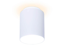 Купить Потолочный светодиодный светильник Ambrella light Techno Spot TN260 в Туле