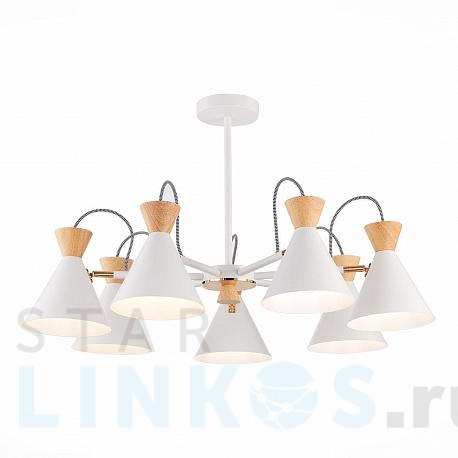 Купить Потолочная люстра Evoluce Modica SLE125102-07 за 16 470 руб. в Туле фото 2 Купить с доставкой Потолочная люстра Evoluce Modica SLE125102-07 в Туле фото 2