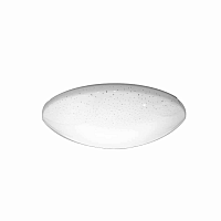 Купить Потолочный светодиодный светильник Seven Fires Эйри 45002.19.15.64 в Туле