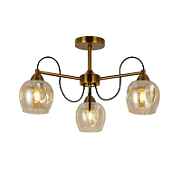 Купить Потолочная люстра Evoluce Acro SLE110002-03 в Туле