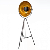 Купить Торшер Zumaline Antenne TS-090522F-BK в Туле