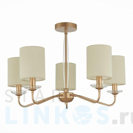 Купить Потолочная люстра Evoluce Rita SLE108002-05 за 12 850 руб. в Туле фото 2 Купить с доставкой Потолочная люстра Evoluce Rita SLE108002-05 в Туле фото 2