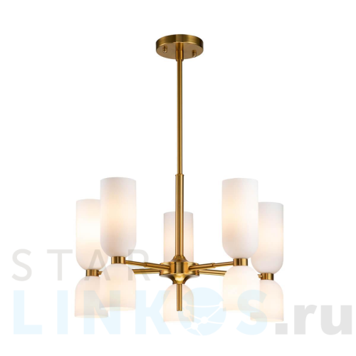 Купить Подвесная люстра Favourite Amusing 2876-5P за 34 200 руб. в Туле Купить с доставкой Подвесная люстра Favourite Amusing 2876-5P в Туле