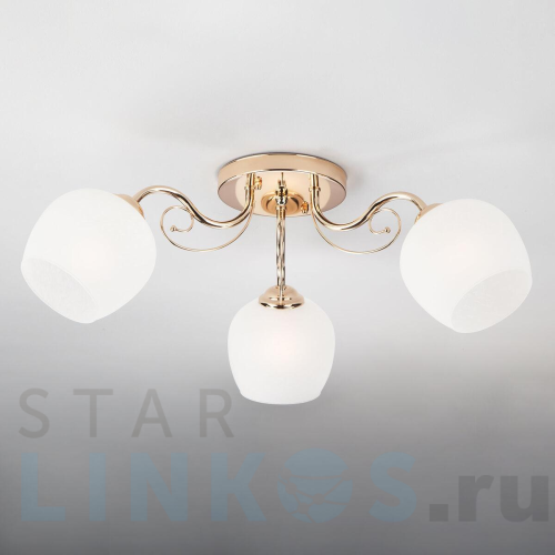 Купить Потолочный светильник Eurosvet 30138/3 золото за 4 410 руб. в Туле Купить с доставкой Потолочный светильник Eurosvet 30138/3 золото в Туле