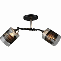 Купить Потолочный светильник Reluce 04846-0.3-02 в Туле