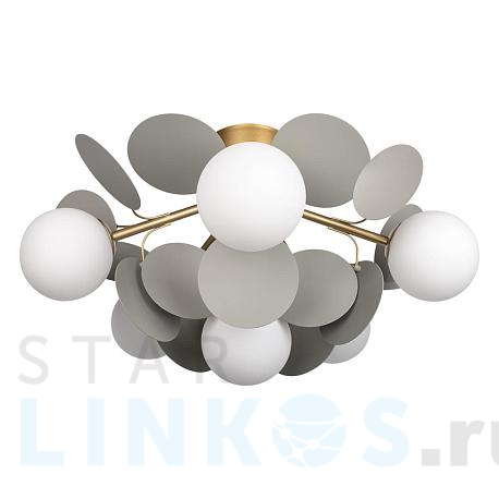 Купить Потолочная люстра Loft IT Matisse 10008/6C Grey за 21 750 руб. в Туле фото 2 Купить с доставкой Потолочная люстра Loft IT Matisse 10008/6C Grey в Туле фото 2