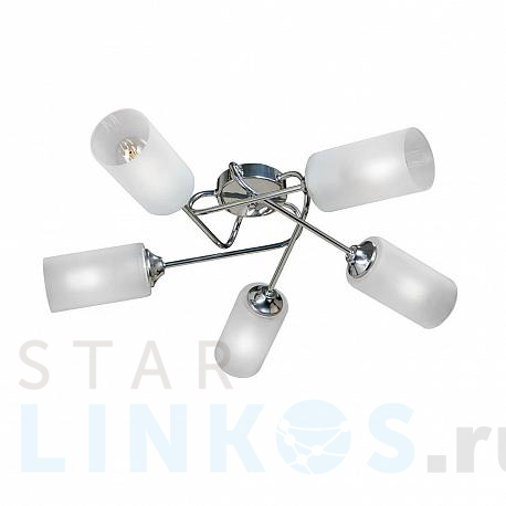 Купить Потолочная люстра Vitaluce V4909-9/5PL за 7 294 руб. в Туле фото 2 Купить с доставкой Потолочная люстра Vitaluce V4909-9/5PL в Туле фото 2