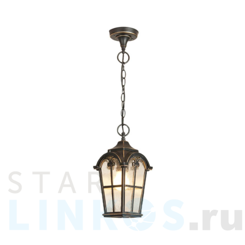 Купить с доставкой Уличный подвесной светильник Elektrostandard Mira a025299 в Туле