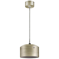 Купить Подвесной светодиодный светильник Lightstar Zolla (211911+590061) ZP1911 в Туле