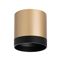 Купить Потолочный светильник Lightstar Rullo (213490+203487) R34903487 в Туле