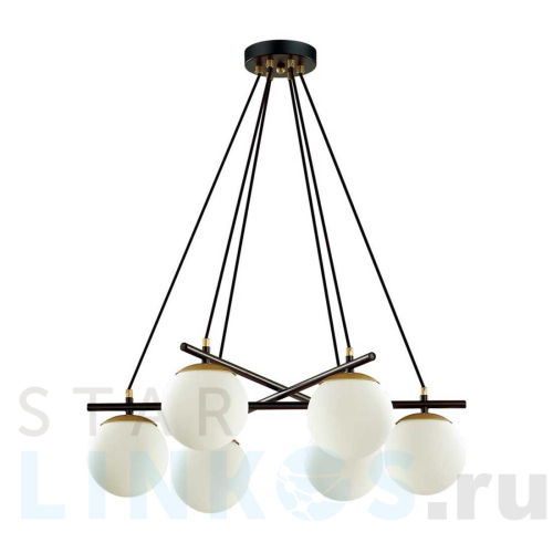 Купить Подвесная люстра Lumion Moderni Randi 5212/6 за 9 700 руб. в Туле Купить с доставкой Подвесная люстра Lumion Moderni Randi 5212/6 в Туле