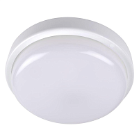 Купить Настенно-потолочный светодиодный светильник Jazzway PBH-PC2-RS 5011137 в Туле