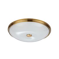 Купить Потолочный светильник Odeon Light Walli Pelow 4956/5 в Туле