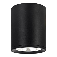 Купить Потолочный светодиодный светильник Escada 20003SMU/02LED SBK в Туле