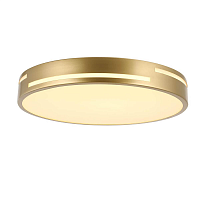 Купить Потолочный светодиодный светильник F-Promo Pall 2745-2C в Туле