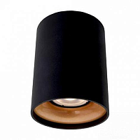Купить Потолочный светильник Arte Lamp Torre A1532PL-1BK в Туле
