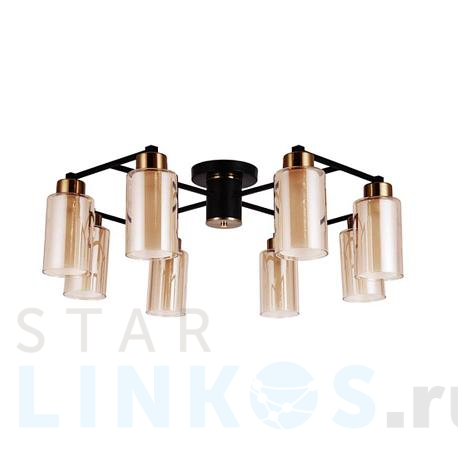 Купить Потолочная люстра Arte Lamp Leo A7027PL-8BK за 14 990 руб. в Туле фото 2 Купить с доставкой Потолочная люстра Arte Lamp Leo A7027PL-8BK в Туле фото 2