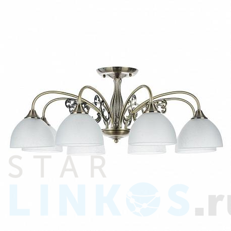Купить Потолочная люстра Arte Lamp Spica A3037PL-8AB за 11 990 руб. в Туле фото 2 Купить с доставкой Потолочная люстра Arte Lamp Spica A3037PL-8AB в Туле фото 2