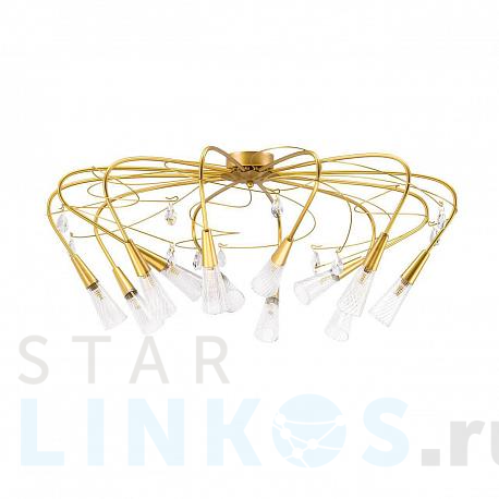 Купить Потолочная люстра Lightstar Aereo 711121 за 19 000 руб. в Туле фото 2 Купить с доставкой Потолочная люстра Lightstar Aereo 711121 в Туле фото 2