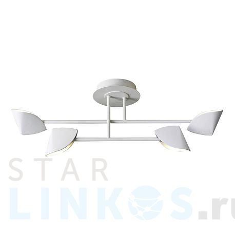 Купить Потолочная светодиодная люстра Mantra Capuccina 7574 за 47 323 руб. в Туле фото 2 Купить с доставкой Потолочная светодиодная люстра Mantra Capuccina 7574 в Туле фото 2