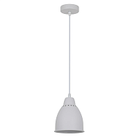 Купить Подвесной светильник Camelion PL-430S-1 C01 13083 в Туле