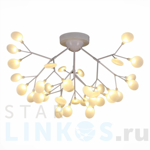 Купить с доставкой Потолочная люстра Evoluce Avola SLE250102-36 в Туле