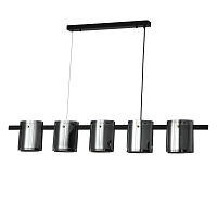 Купить Подвесная люстра Zortes Ice Rony ZRS.1209.01 в Туле