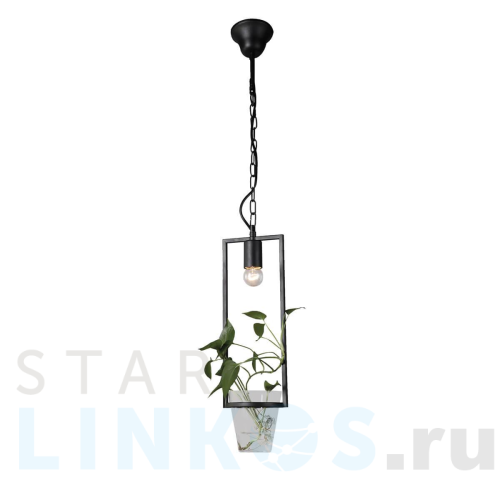 Купить Подвесной светильник Favourite Situla 1976-1P за 9 900 руб. в Туле Купить с доставкой Подвесной светильник Favourite Situla 1976-1P в Туле