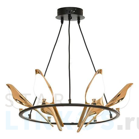 Купить Подвесная люстра Lussole LOFT Jasper LSP-8641 за 42 939 руб. в Туле фото 2 Купить с доставкой Подвесная люстра Lussole LOFT Jasper LSP-8641 в Туле фото 2