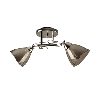 Купить Потолочный светильник Hiper Gandy H195-2 в Туле