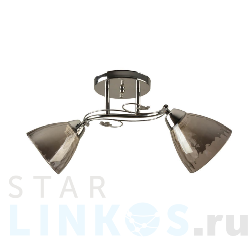 Купить с доставкой Потолочный светильник Hiper Gandy H195-2 в Туле