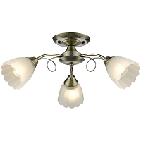 Купить Потолочная люстра Velante 708-507-03 в Туле