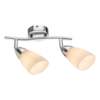 Купить Спот IMEX SP.018-72-02 в Туле