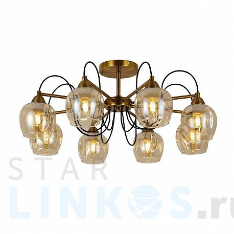 Купить Потолочная люстра Evoluce Acro SLE110002-08 за 15 280 руб. в Туле фото 2 Купить с доставкой Потолочная люстра Evoluce Acro SLE110002-08 в Туле фото 2