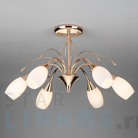 Купить Потолочная люстра Eurosvet 22080/6 золото за 10 600 руб. в Туле фото 2 Купить с доставкой Потолочная люстра Eurosvet 22080/6 золото в Туле фото 2