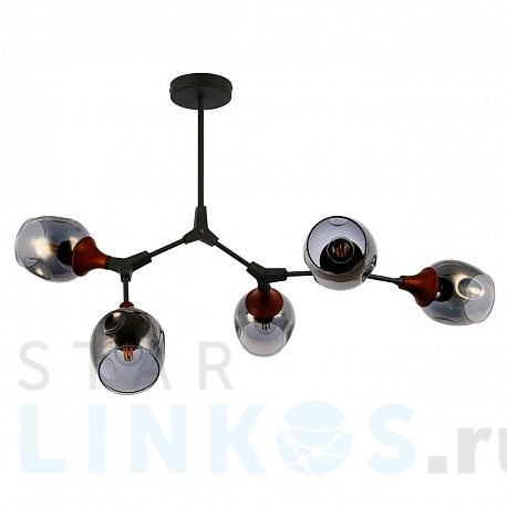 Купить Потолочная люстра Evoluce Ciotolla SLE113402-05 за 13 270 руб. в Туле фото 2 Купить с доставкой Потолочная люстра Evoluce Ciotolla SLE113402-05 в Туле фото 2