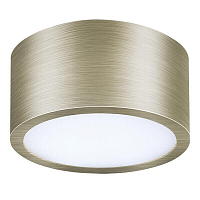 Купить Потолочный светодиодный светильник Lightstar Zolla 213911 в Туле