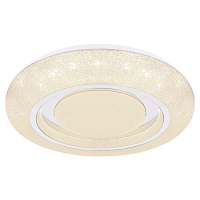 Купить Настенно-потолочный светодиодный светильник Globo Rada 483111-24 в Туле